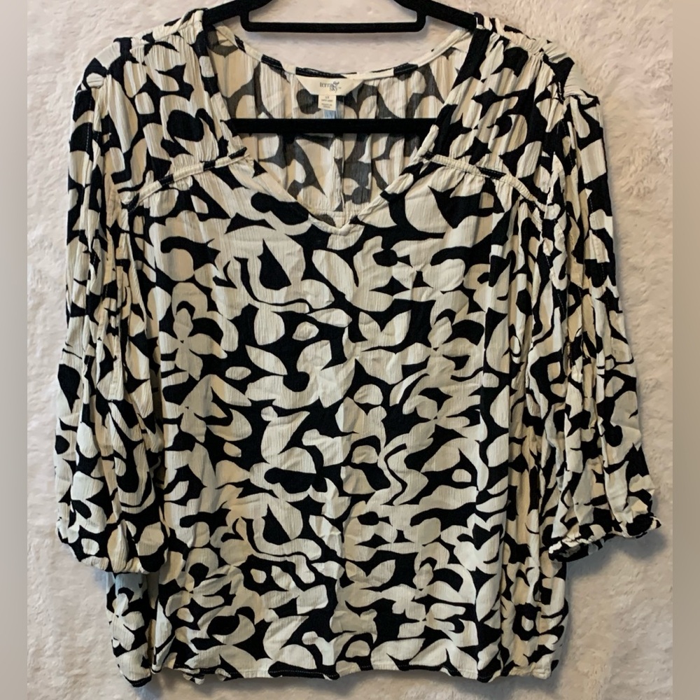 Terra & Sky Poet Sleeve Blouse